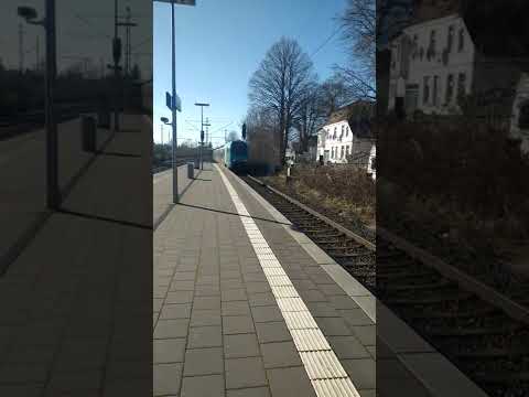 RB61/ET 4.03 von Bielefeld nach Hengelo Zwischenhalt in Bünde(Westf.)!