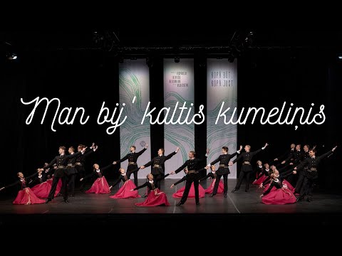 RTU TDA Vektors - MAN BIJ' KALTIS KUMELIŅIS