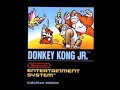 Donkey Kong JR NES Stage 2 Clear