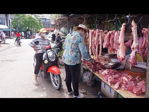 Morning Food Market Scenes at Phsa Kandal Porchentong - Walking Around Food Market @PorChenTong