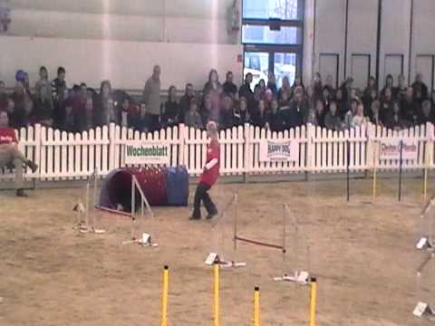 Kim + Happy Agility DogLive Münster 2011