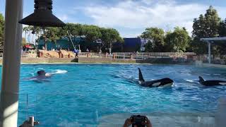 San Diego SeaWorld でシャチとご飯を食べるレストラン