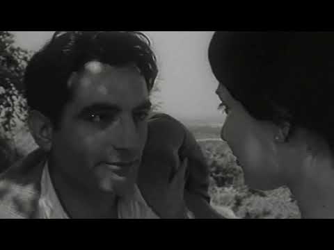 Трейлър #1