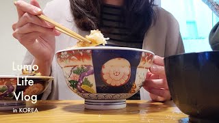 [韓国生活vlog] 韓国在住日本人主婦の日本が恋しい日常 / キャットフェスタ / 猫と海外暮らし