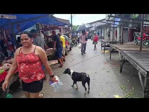 FEIRA DE BRANQUINHA-AL