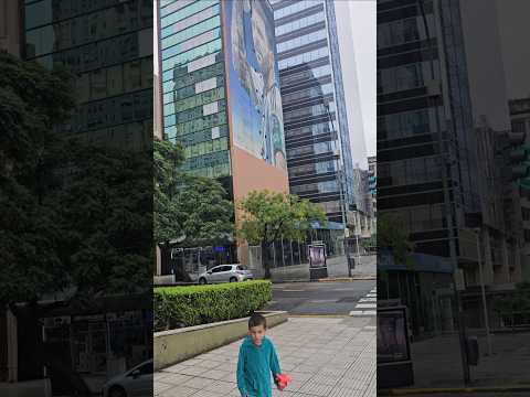 Gino plazoleta calle Bernardo de Irigoyen y Avenida Belgrano mural de Messi Buenos Aires 28/3/26