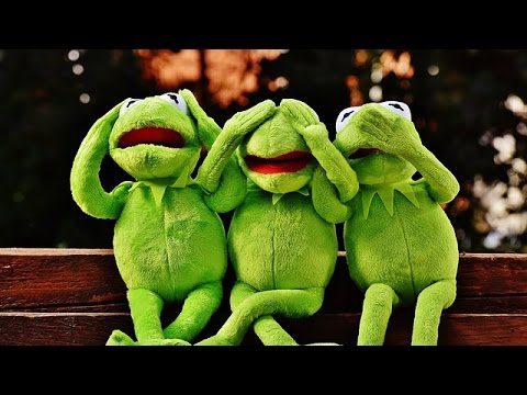 Die 4 Seiten einer Nachricht