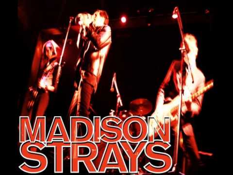 madison strays - lost in photos