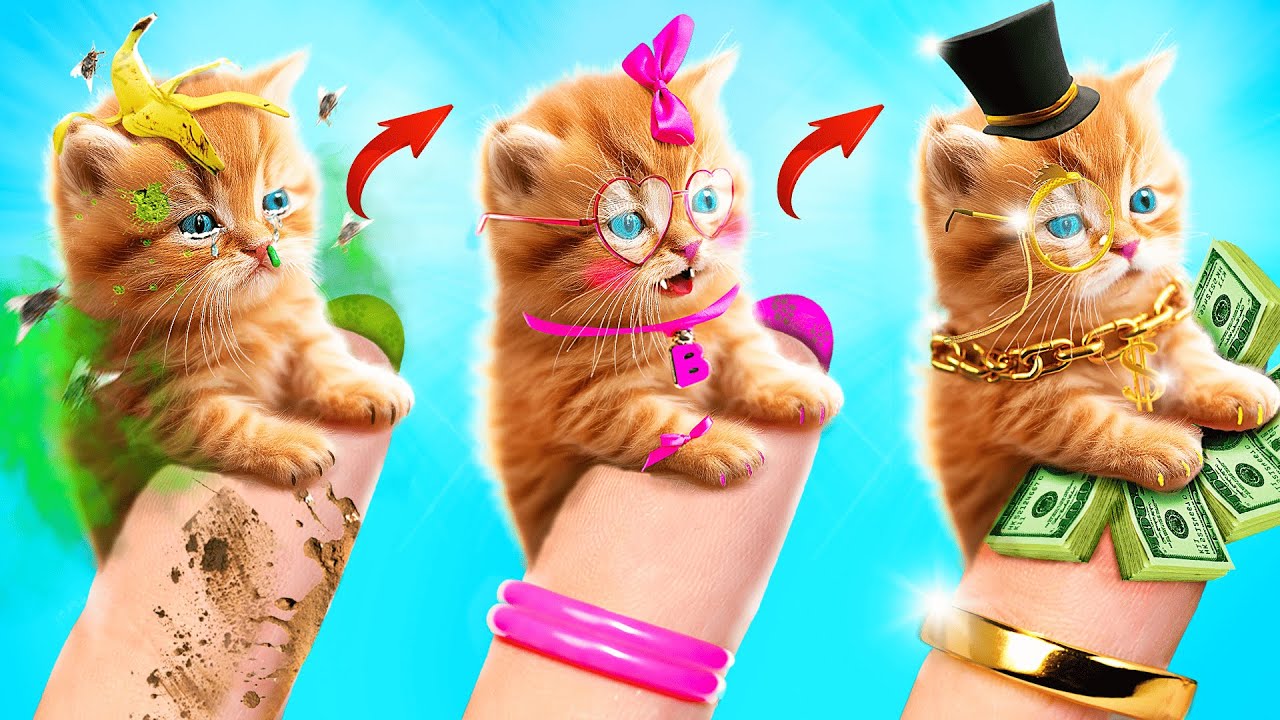 Rico vs Pobre Extreme Makeover! Eu Salvei um Gato Sem-teto!