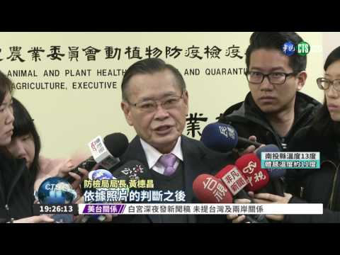 鵝鴨分不清? 通報H5N6鬧烏龍