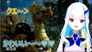 【FF15】念願のチョコボにベタ惚れして撮影会を始める皇女様【にじさんじ/リゼ・ヘルエスタ】