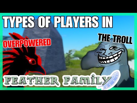 Types of players in FEATHER FAMILY... 🕊️
