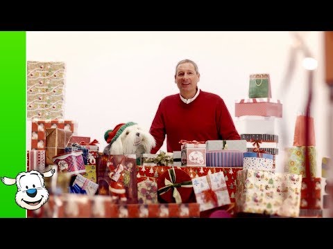 Samson & Gert - Lieve Kerstman