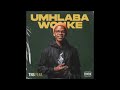 TNS Umhlaba Wonke Feat Dlala Thukzin