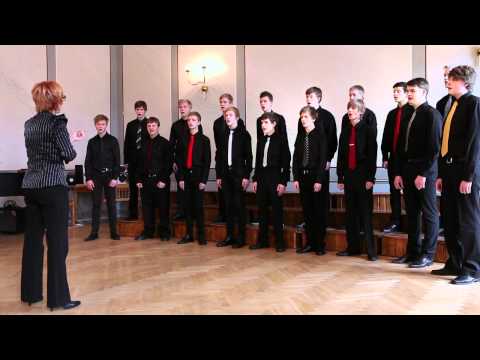 Tallinna 21. Kooli Noorte Meeskoor