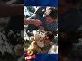 👉🎬CHRISTOPHER ROBIN movie behind the scenes | Makign of | Movies #shorts