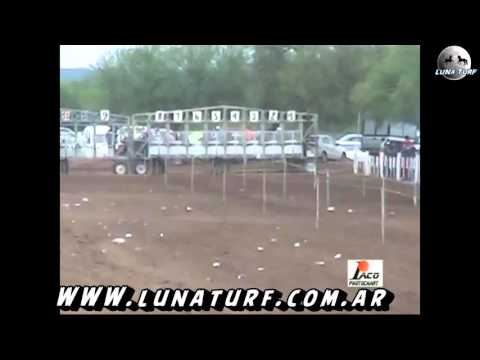 HIPODROMO EL PANGARE CRUZ DEL EJE-1-11-15-EL REY-ANGELITA-RUBIA DASH