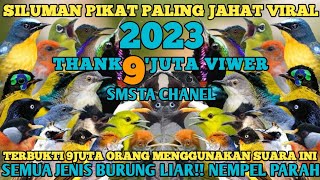 Download lagu SUARA PIKAT BURCIL PALING AMPUH SILUMAN PIKAT 2023... mp3