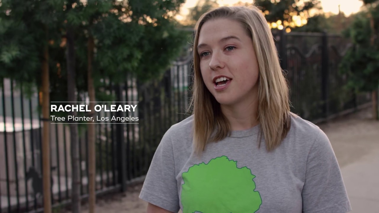 The Time for Trees | Extended