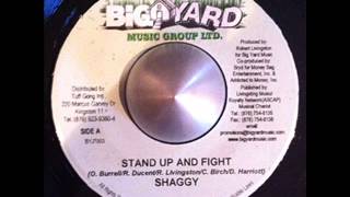 Shaggy   Stand Up And Fight
