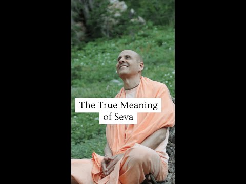 The True Meaning of Seva by His Holiness Radhanath Swami ????