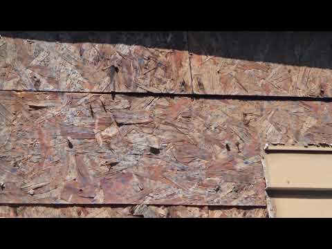 Yellow Jackets Found While Re-Siding Home in Monroe Township, NJ