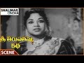 Sri Thirupathamma Katha Gummadi Angry On Rajasulochana About Krishnaveni Life Scene