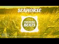 Rondo Brothers - SEAHORSE [Free2Use]
