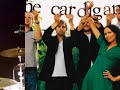 In The Afternoon - Cardigans