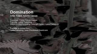 Domination - Felipe Adorno Vassao (Lynne Publishing)