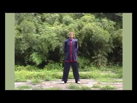 Die 9 Knospen im Rosengarten - Meiguiyuan Yangsheng Shu