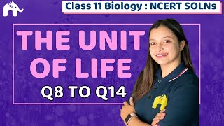 Cell: The Unit of Life Class 11 Biology | Chapter 8 NCERT Solutions  Questions 8-14 NEET CBSE