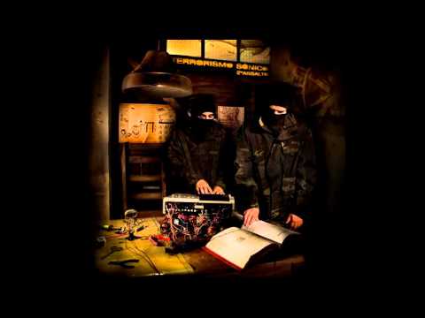 Terrorismo Sónico - 2º assalto (2011)  completo