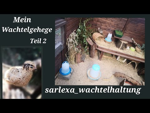Mein Wachtelgehege Teil 2