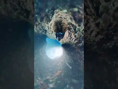 沖縄　ダイビング