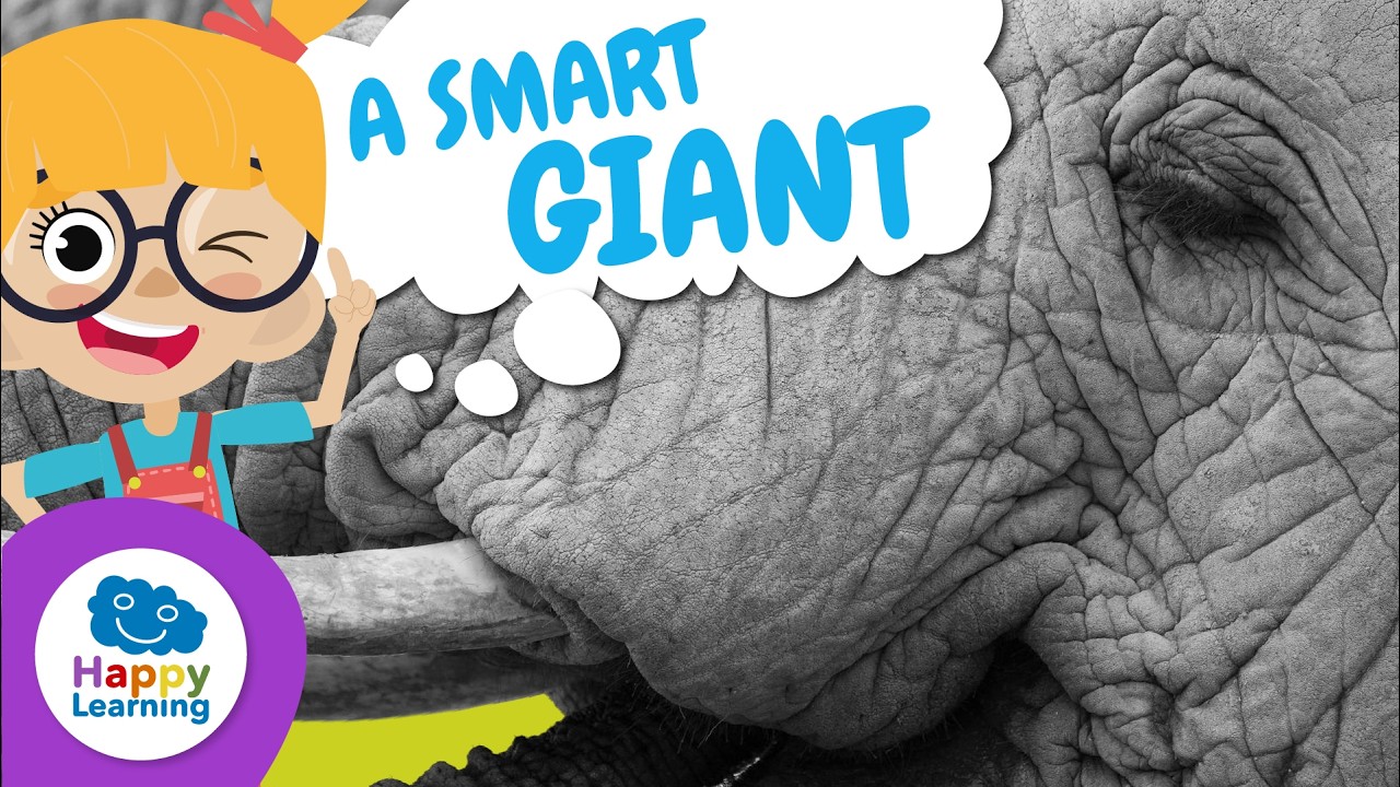 🐘 THE ELEPHANT: The BIGGEST Land Animal on Earth | Educational Videos | @HappyLearningENG