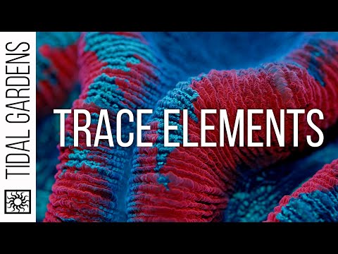 Trace Elements in your Reef Aquarium