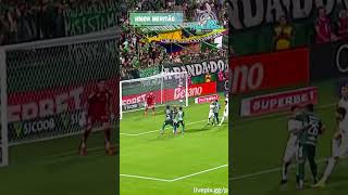 Gol da Chapecoense - Higor Meritão (Chapecoense 2x2 Santos) Brasileirão 28/01/2026
