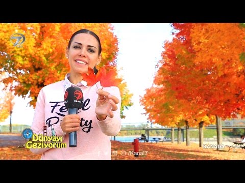Traveling the World - Canada - November 27, 2016