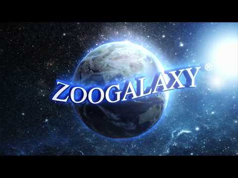 Animales. Zoogalaxy