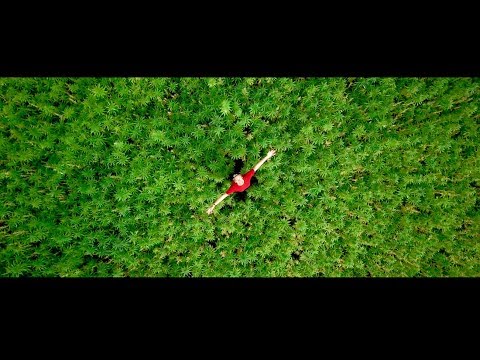 AlpenPionier Nicolas Müller