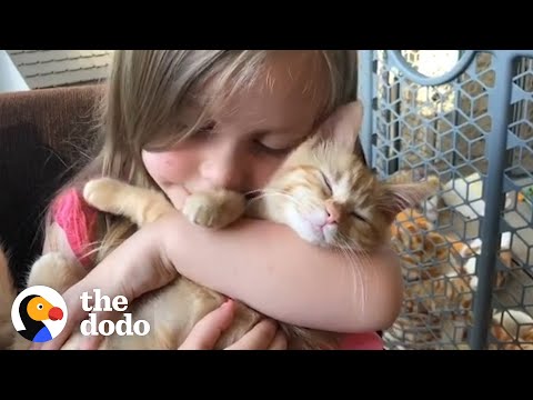 Little Girls Have The Most Special Relationship With Cats | The Dodo