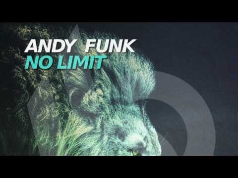 Andy Funk - No Limit ( San Danielle pres. DoubleD Remix ) [ burning beats records ]