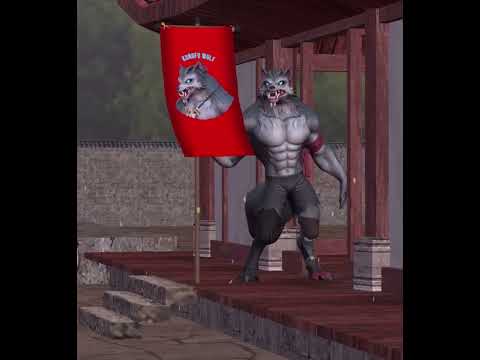 Kung Fu Animal: Fighting Games Video