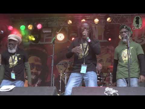 KushArt & PaToPa Band @ Reggaejam 2022