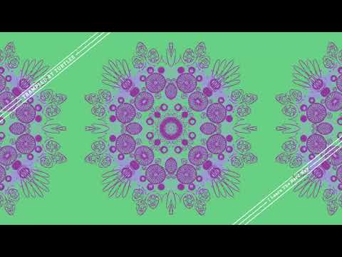 Trampled By Turtles - "I Learn the Hard Way" - Official Video