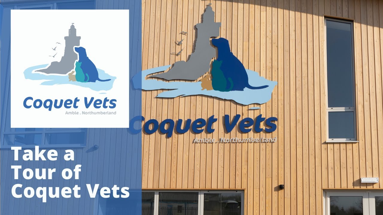 Take a Tour of Coquet Vets