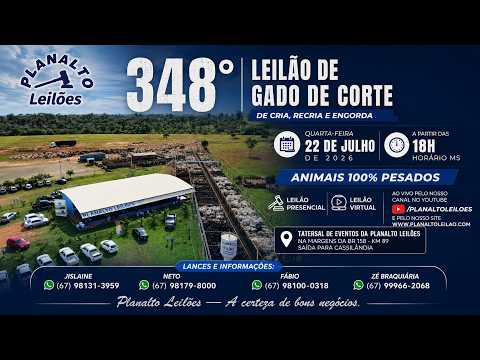 22/07/2026 348º Leilão Gado de Corte em Paranaíba -MS Planalto Leilões