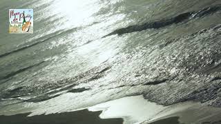 Download lagu Poulenc: Figure humaine / Die 12 Cellisten der Berliner Philharmoniker 2010 mp3 Download lagu Poulenc: Figure humaine / Die 12 Cellisten der Berliner Philharmoniker 2010 mp3