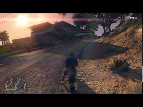 Grand Theft Auto V 5 Online